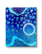 MOON JELLIES